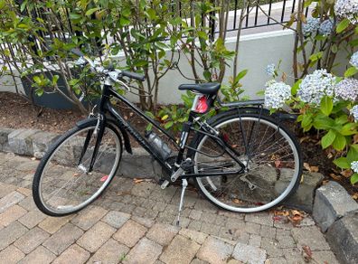 Giant Escape Hybrid Bike Shimano 8 Speed, Rack & Mudguards
