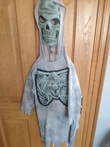Halloween costume