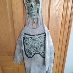 Halloween costume