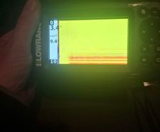 fish finder