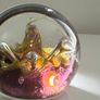 Vintage Caithness Glass (Moonflower) Paperweight Image 6