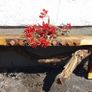 NEW Rustic Driftwood Stove Mantle / Shelf Image 10