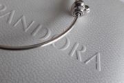New genuine pandora small essences/Me bangle