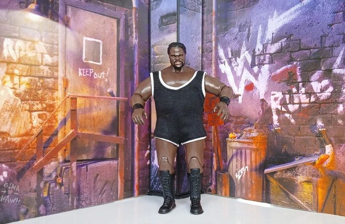 WWE Jakks Pacific Figures