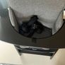 Baby High chair - Hauck Alpha + Image 4
