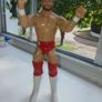 Mattel WWE 2017 Finn Balor Wrestling Action Figure Image 2