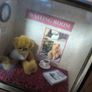 3D Teddy Waiting Room  Boxed Picture. Image 6