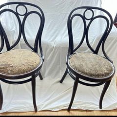 Rare Antique Bentwood Project: Fischel Table & 'Angel Wing' No. 19 Chairs