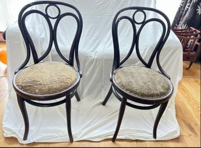 Rare Antique Bentwood Project: Fischel Table & 'Angel Wing' No. 19 Chairs