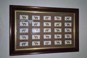 Vintage 1933 John Player &amp; Sons "Derby Winners" Cigarette Card Framed Display