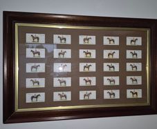 Vintage 1933 John Player & Sons "Derby Winners" Cigarette Card Framed Display