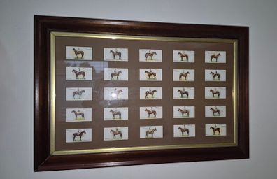 Vintage 1933 John Player & Sons "Derby Winners" Cigarette Card Framed Display