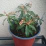 random Image 3