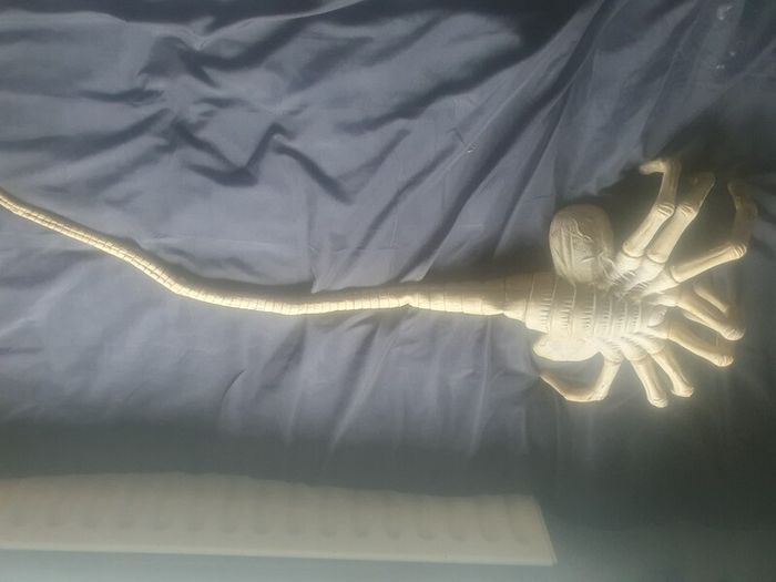 Neca Alien Egg