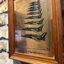 Vintage Air Force Copper Image 2