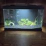 fish tank Image 2