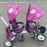 twin trike Image 5