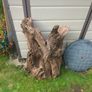Fish Tank Drift Wood Image 2