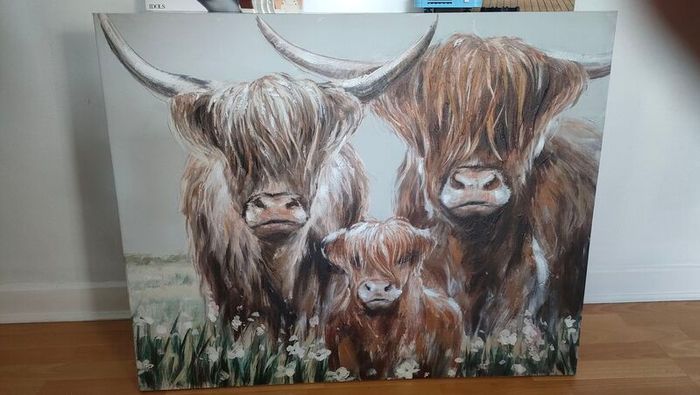 Highland Cow Canvas Print Picture