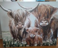 Highland Cow Canvas Print Picture