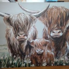 Highland Cow Canvas Print Picture