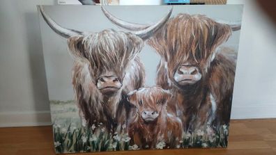 Highland Cow Canvas Print Picture