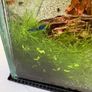 30l fishtank Image 2