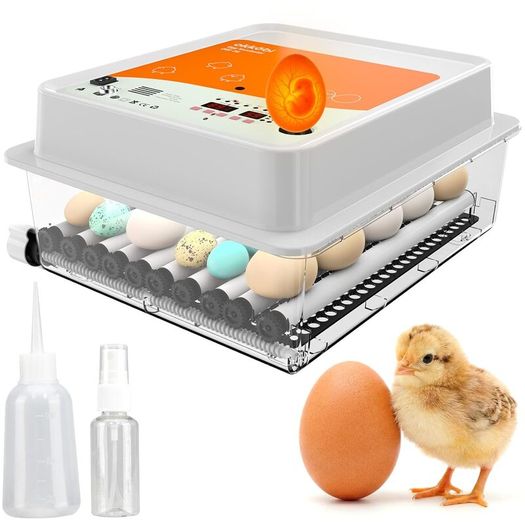 Automatic Egg Incubator 9/15/24/36 Eggs  Intelligent Temperature Control:PICK UP AVAILABLE
