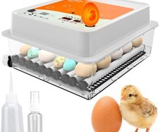 Automatic Egg Incubator 9/15/24/36 Eggs  Intelligent Temperature Control:PICK UP AVAILABLE
