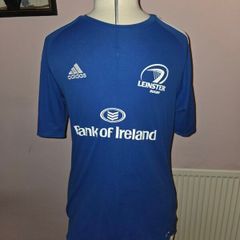 Leinster Rugby Camp Jersey - Medium size