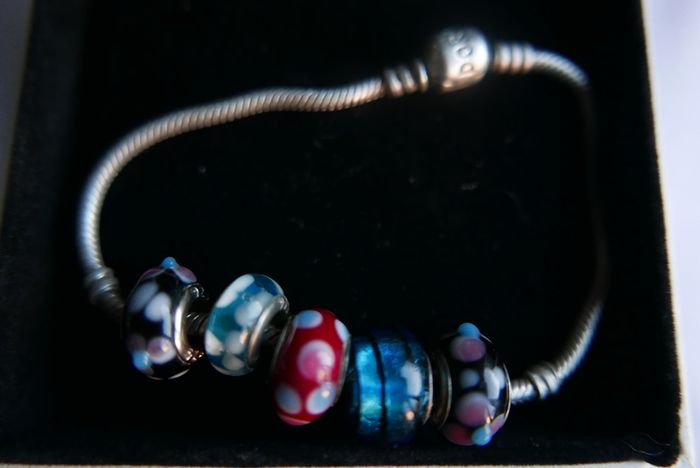 Authentic Pandora Charm Bracelet with 5 Charms Sterling Silver Designer Charm Bead Bracelet 14,5g