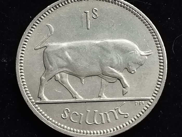 Ireland - 1966 - Shilling - Bull - KM.14a - [743]