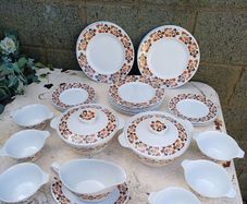 1960/70s Alfred Meakin Dinner Set