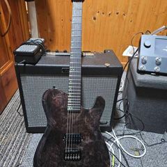 Kiesel Solo-6 Custom Burl Maple Top - Transparent Black