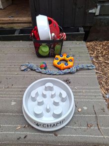 bumper pack of dog goody's