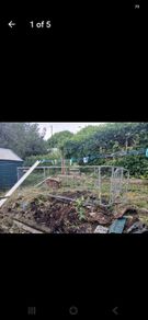 chicken run/ dog run