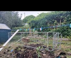 chicken run/ dog run