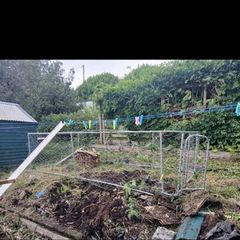 chicken run/ dog run