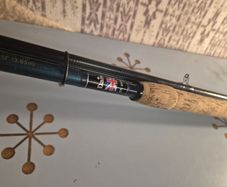 daiwa jaguar match dl rod