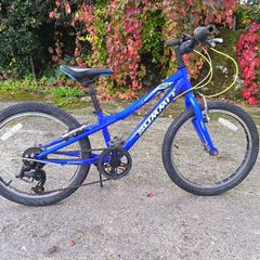 20 inch mountain bike
