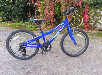 20 inch mountain bike