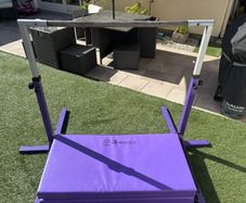 Adjustable Gymnastics Bar with Mat