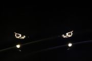 LED Foglights Bulbs For All BMWs - Warranty - 50000lm - Plug N Play