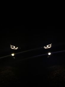 LED Foglights Bulbs For All BMWs - Warranty - 50000lm - Plug N Play