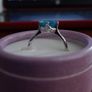 Ring Image 5