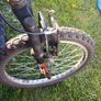 20" bike Image 2