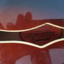 Epiphone Sheraton Guitar Image 2