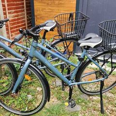 Long Distance Step-Through City Bike 500 M size