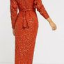 Sequins Maxi Dress Image 3
