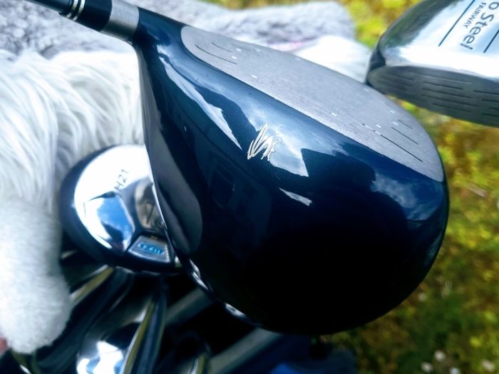 Set of Ladies Golf Clubs